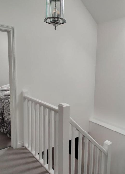 Photo of Others in Berkeley