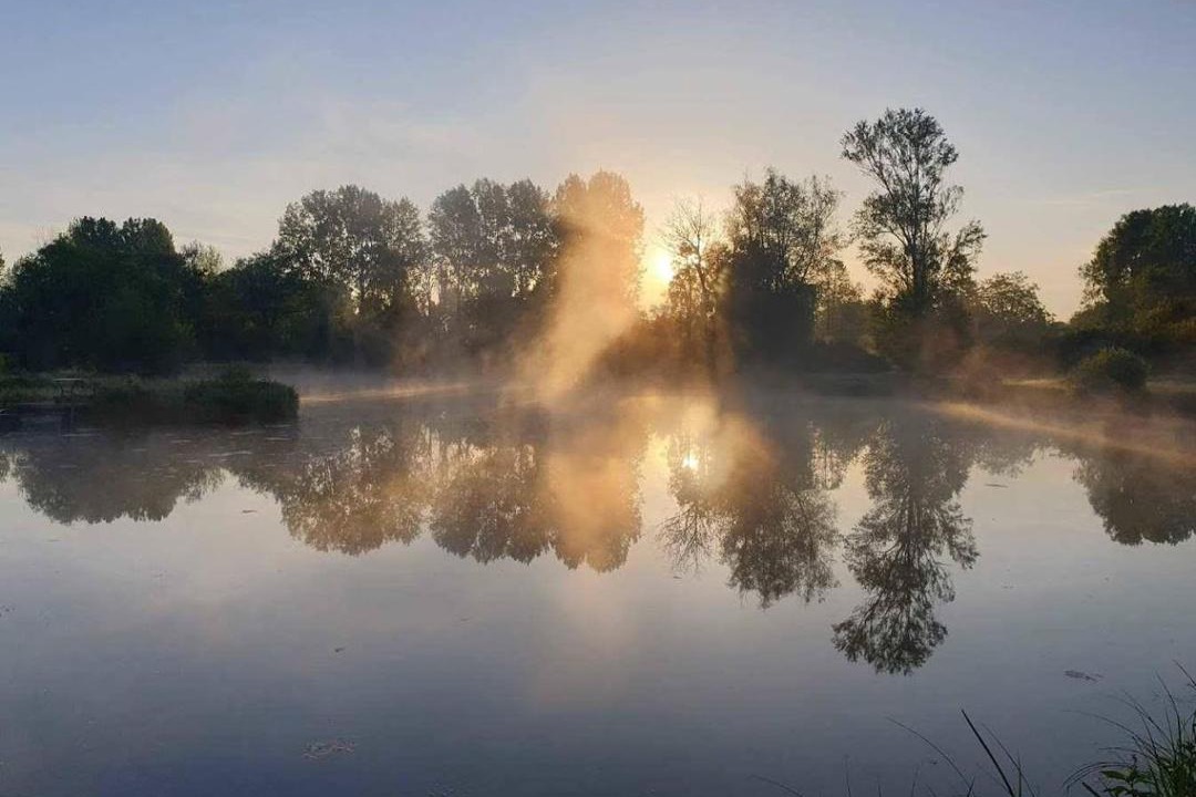Photo of Outdoor in Abbeville