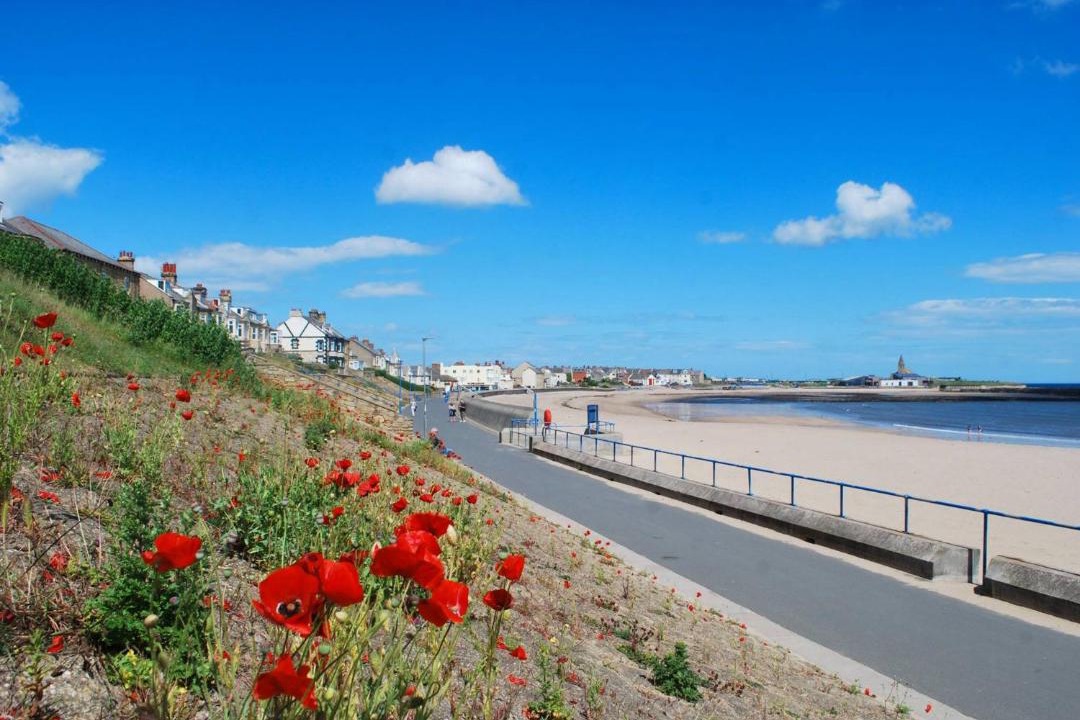 Photo of Outdoor in Woodhorn