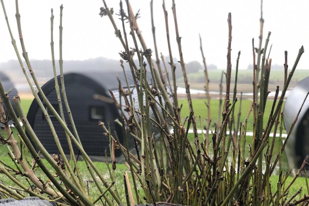 Photo of Others in Tistrup