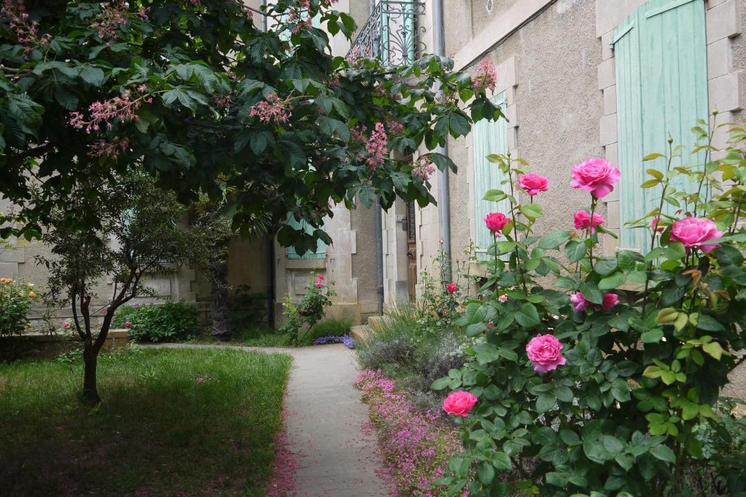 Photo of Buildings in Digne-les-Bains