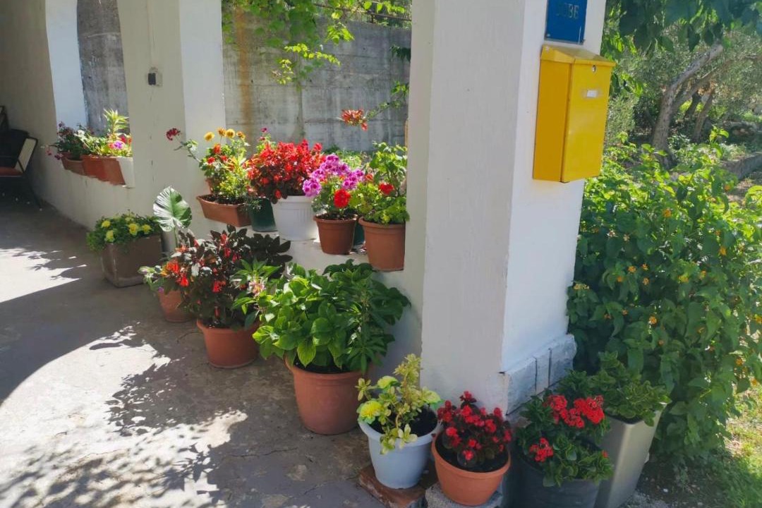 Photo of Patio Balcony in Drvenik