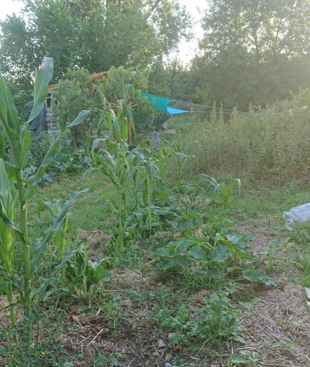 Photo of Others in Creysse