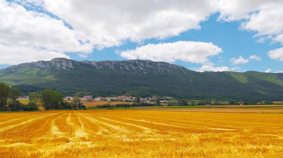 Photo of Outdoor in Bernedo