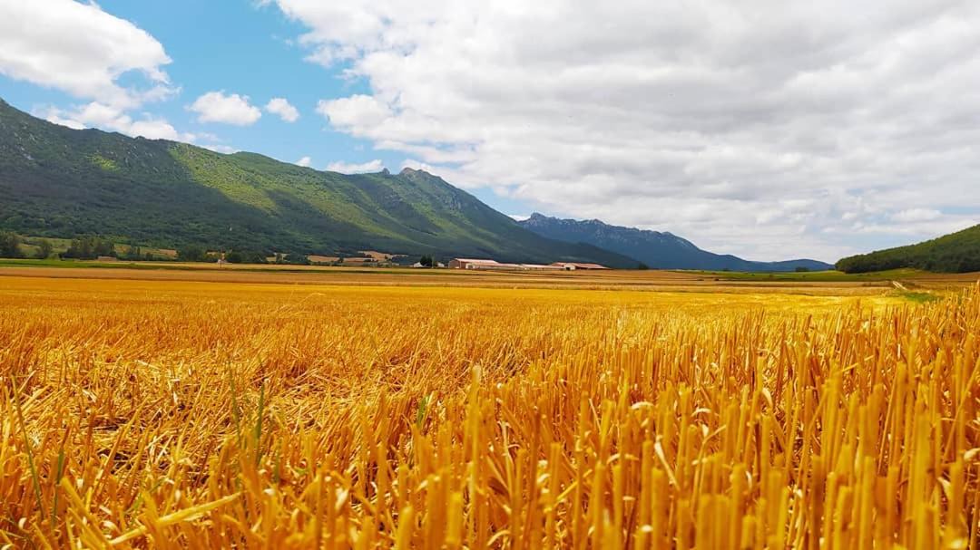 Photo of Outdoor in Bernedo