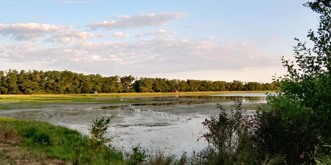 Photo of Outdoor in Marlieux
