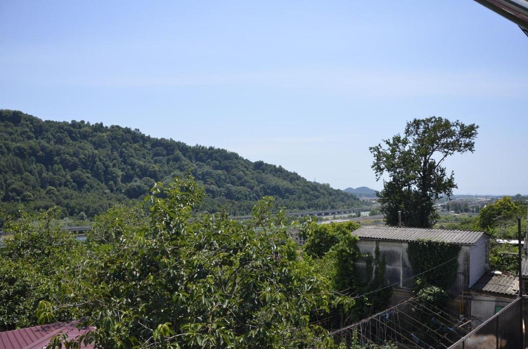 Photo of Others in Adlersky