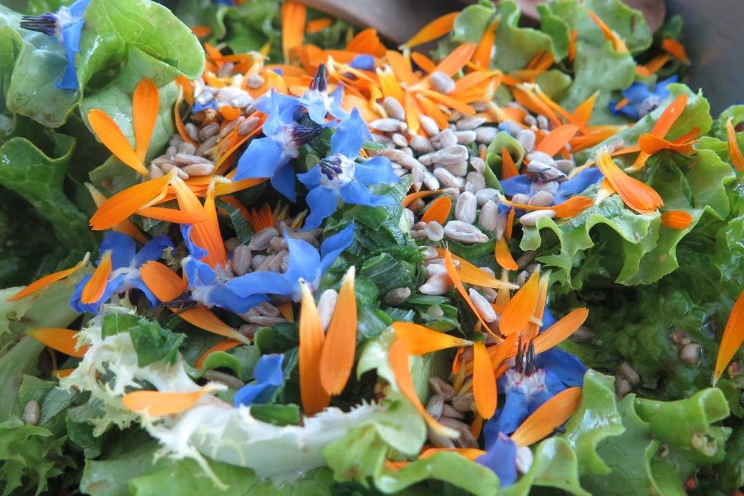 Photo of Others in Le Dorat