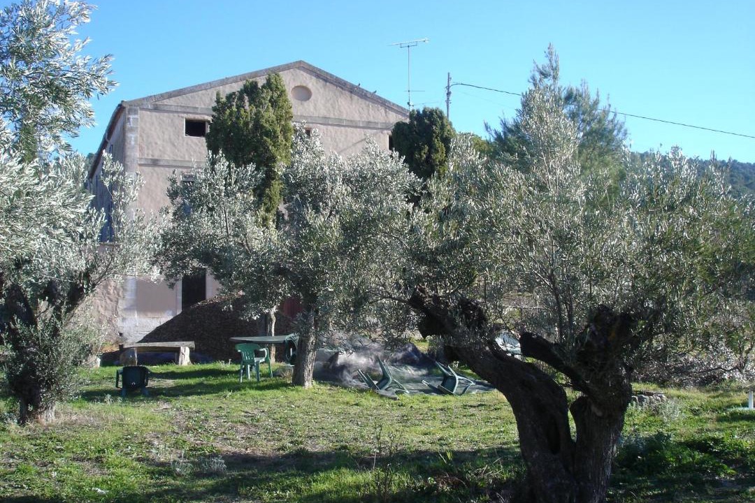 Photo of Others in Ibi