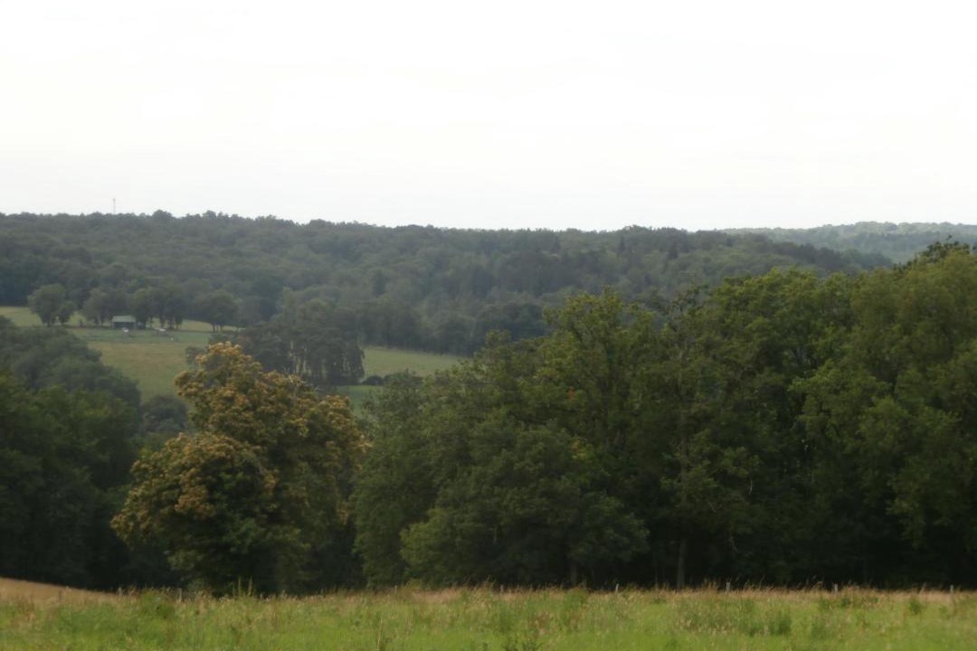 Photo of Outdoor in Saint-Georges-de-Montclard