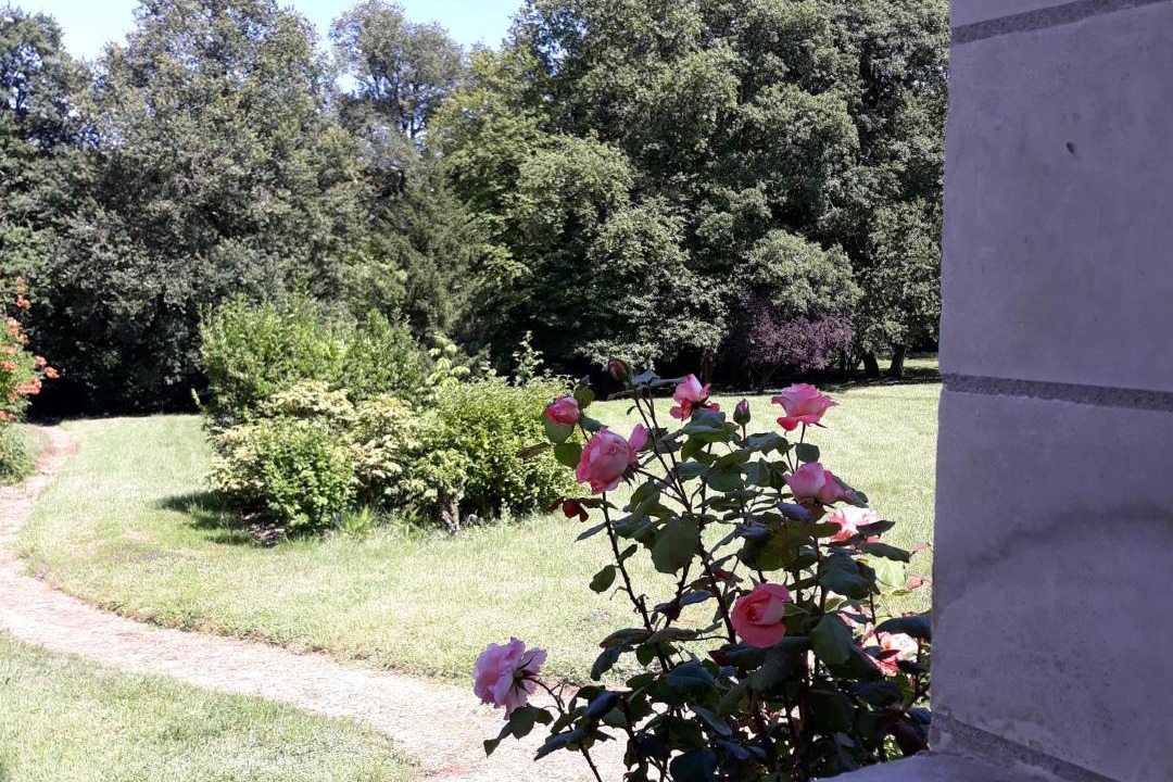 Photo of Others in Rouziers-de-Touraine