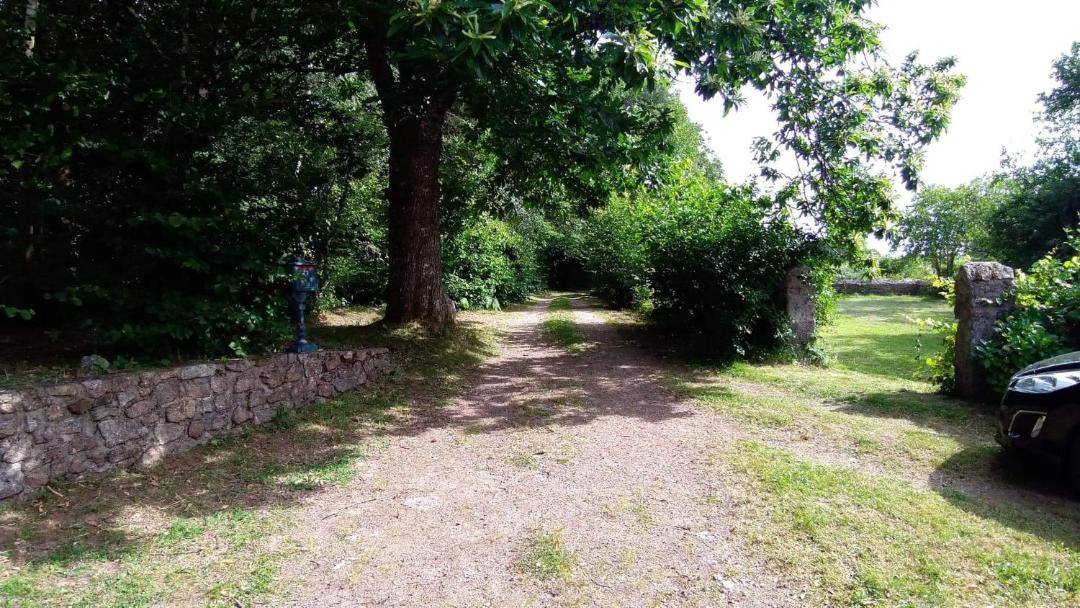 Photo of Others in Alligny-en-Morvan