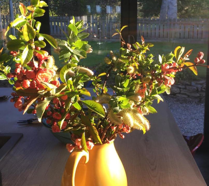 Photo of Others in Balloch