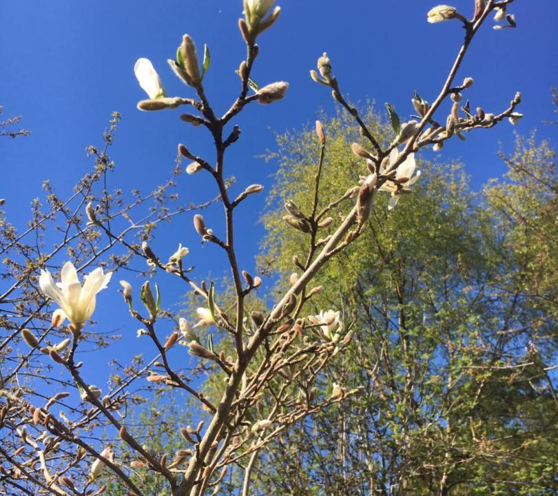 Photo of Outdoor in Balloch