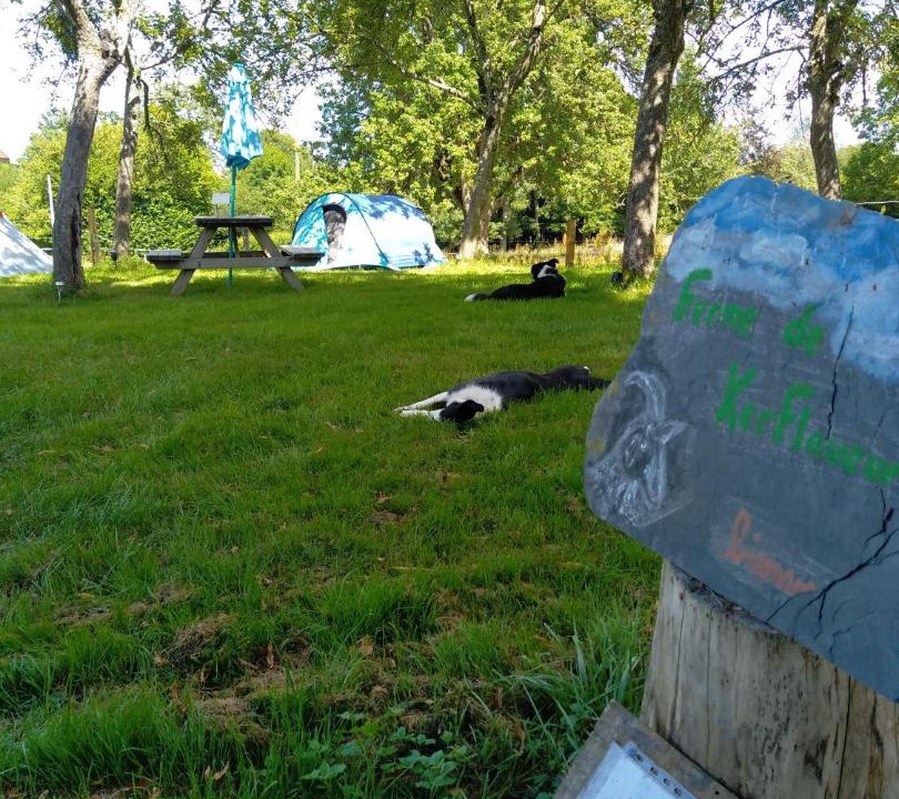 Photo of Others in La Fresnaye-au-Sauvage