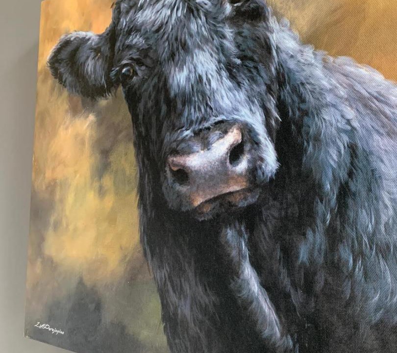 Photo of Bedroom in Haworth