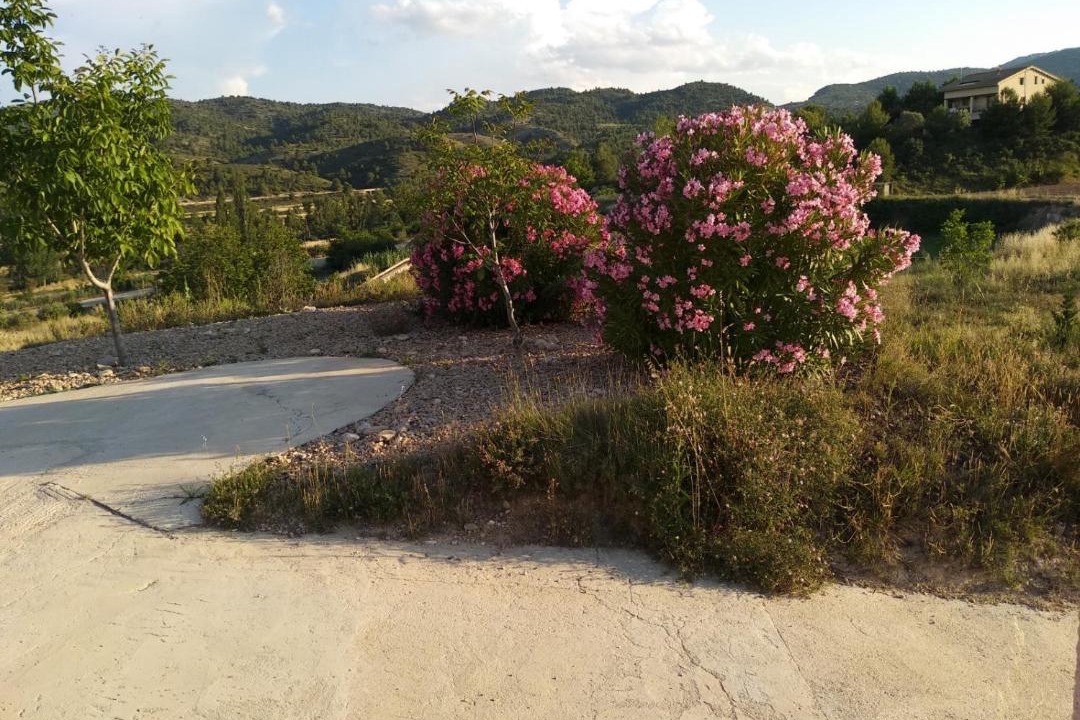 Photo of Outdoor in Mas de las Matas