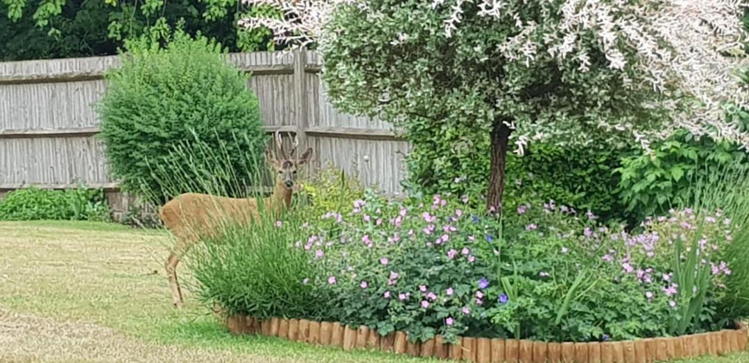 Photo of Others in Dunbridge