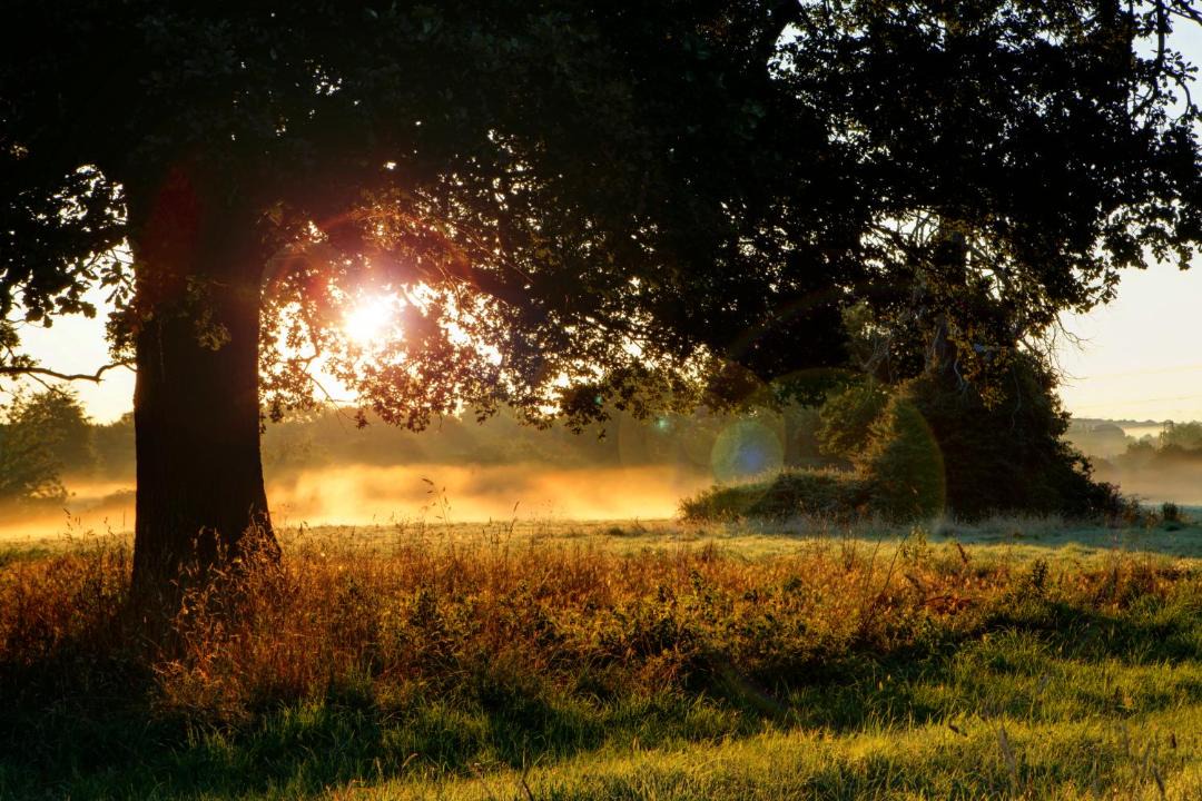 Photo of Others in Chelmsford