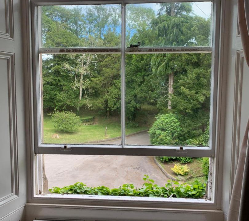 Photo of Others in Great Broughton