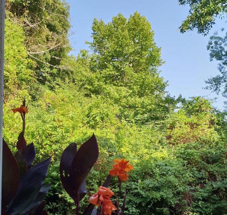 Photo of Others in Eugenie-les-Bains