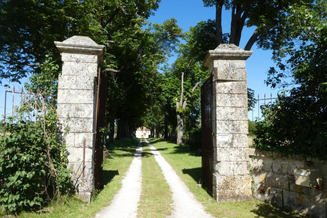 Photo of Others in Pons