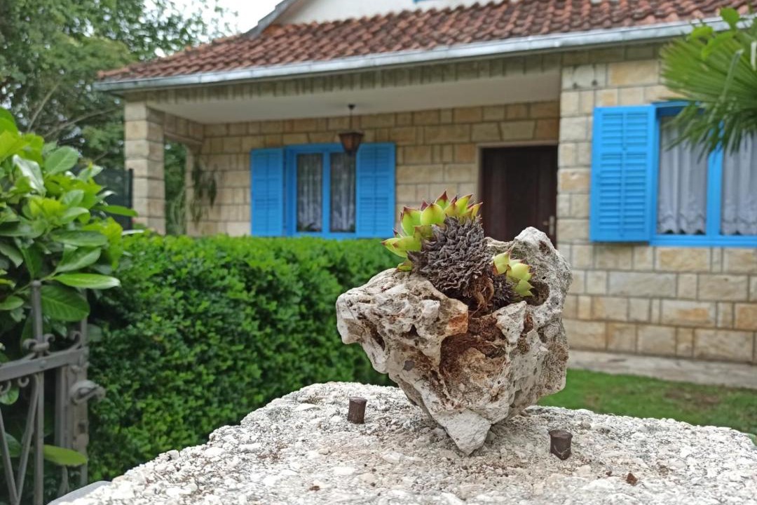 Photo of Buildings in Grubine