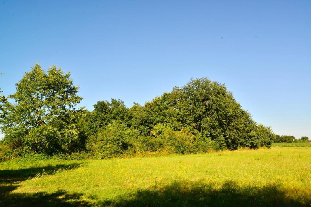 Photo of Outdoor in Villematier