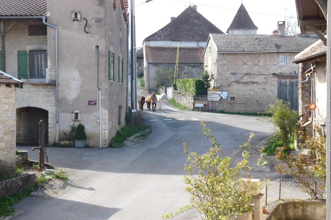 Photo of Others in Chissey-les-Macon