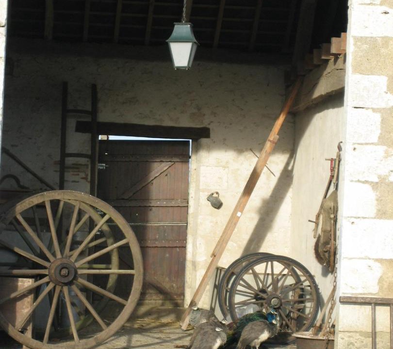 Photo of Others in Avaray