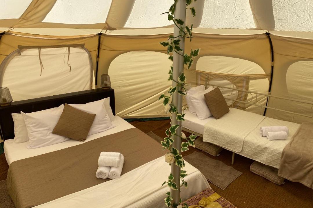 Photo of Others in Blond