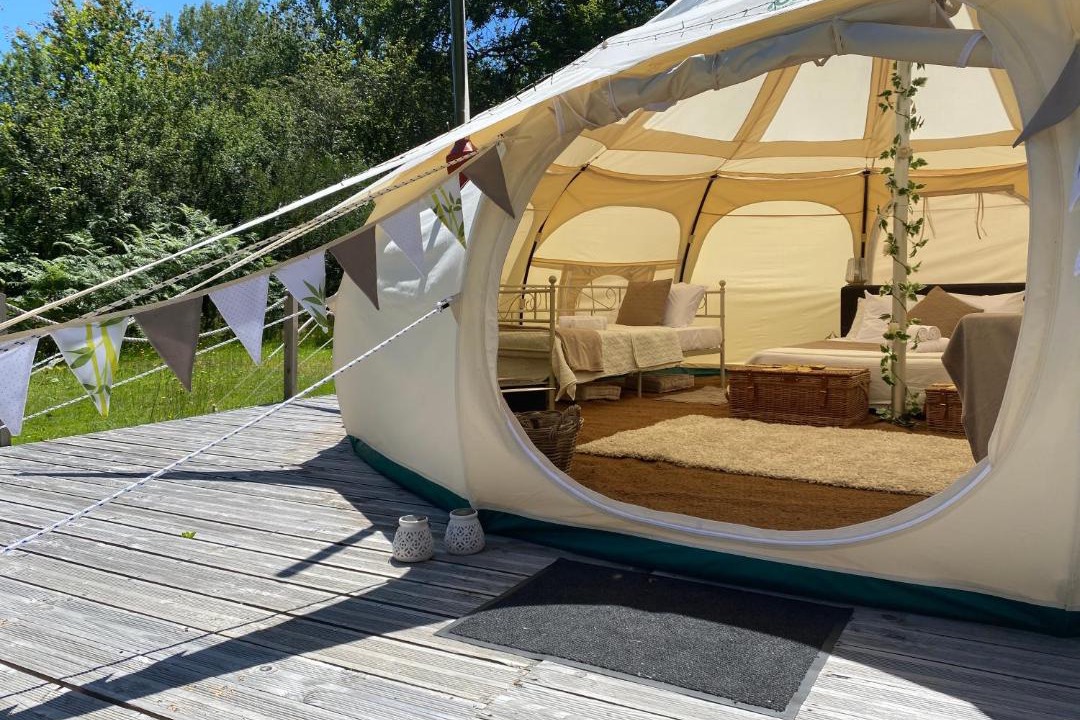 Photo of Others in Blond