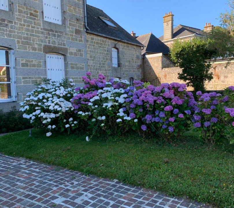 Photo of Others in Ranes