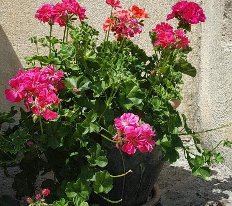Photo of Others in Campagne-sur-Aude