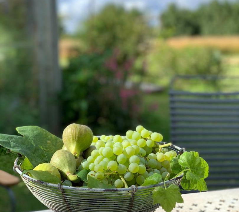 Photo of Others in Hillerod