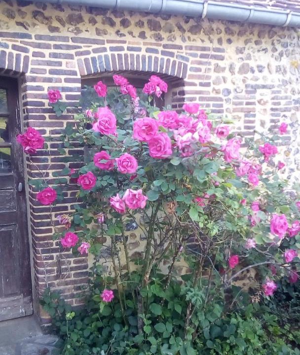 Photo of Others in Saint-Maurice-Les-Charencey