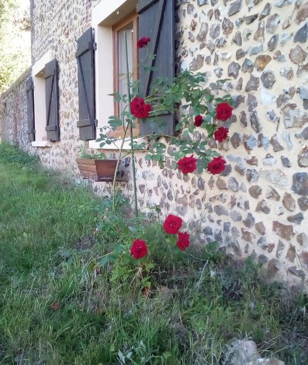 Photo of Others in Saint-Maurice-Les-Charencey