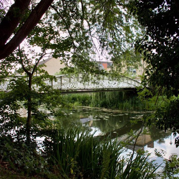 Photo of Others in Stamford