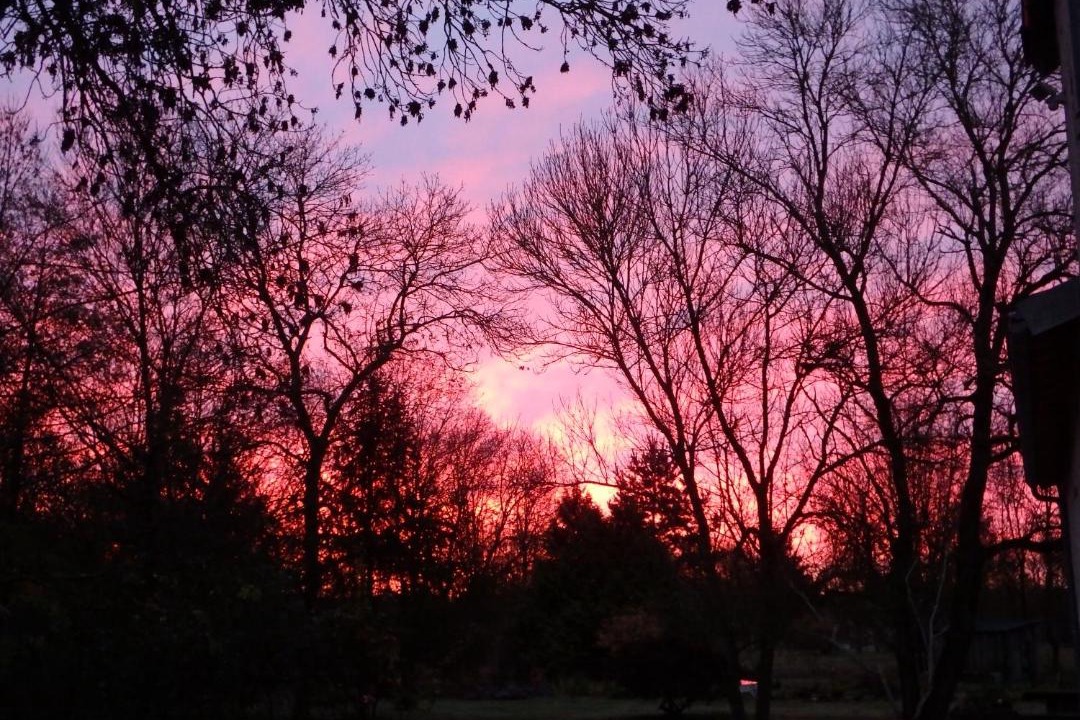 Photo of Others in Les Touches-de-Perigny