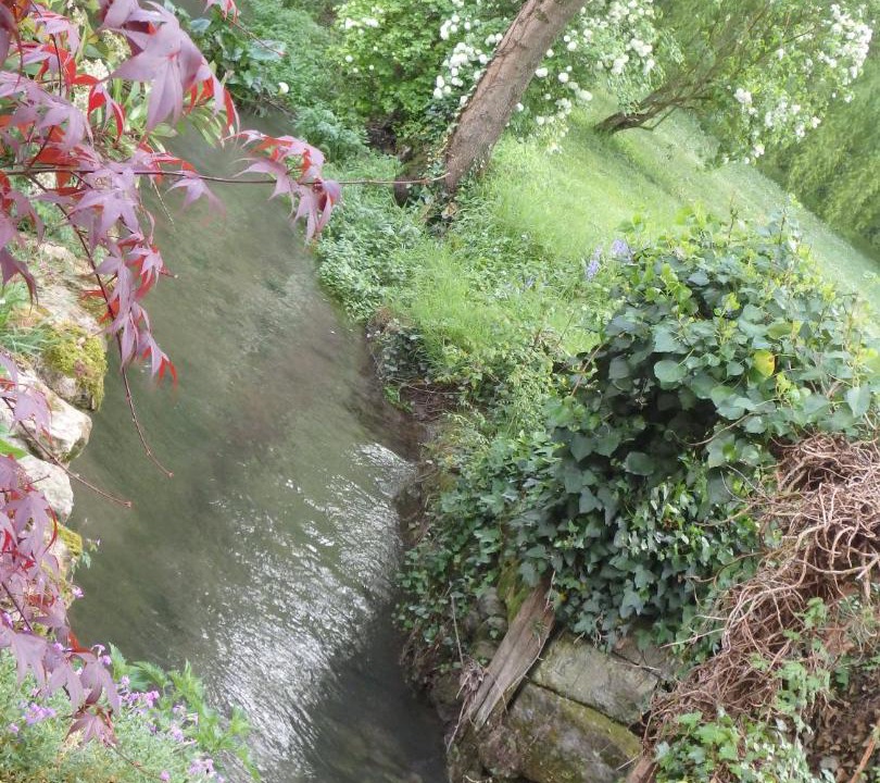 Photo of Others in Les Touches-de-Perigny