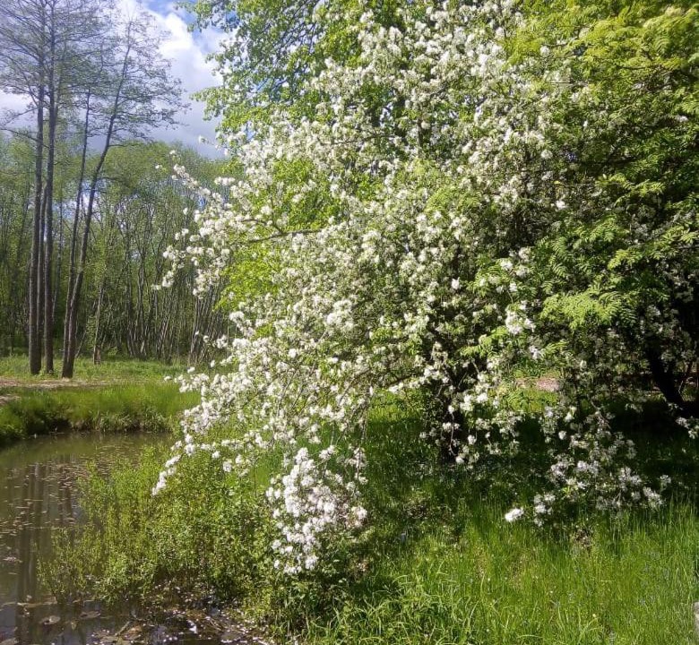 Photo of Outdoor in Bugrovo