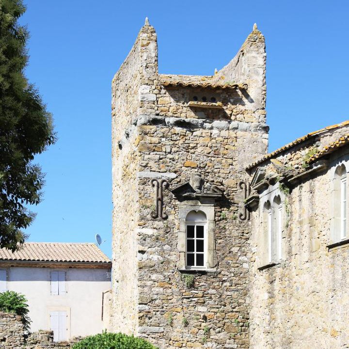 Photo of Others in Agel