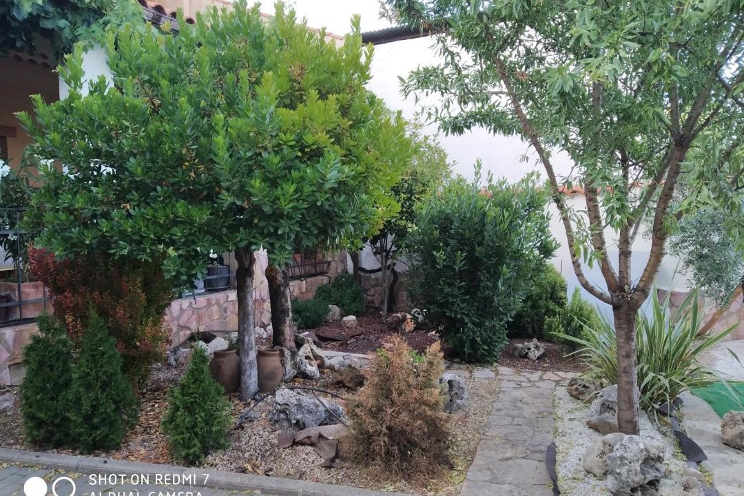 Photo of Others in Villar de Olalla