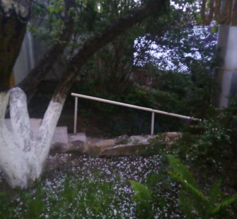 Photo of Others in Bugrovo