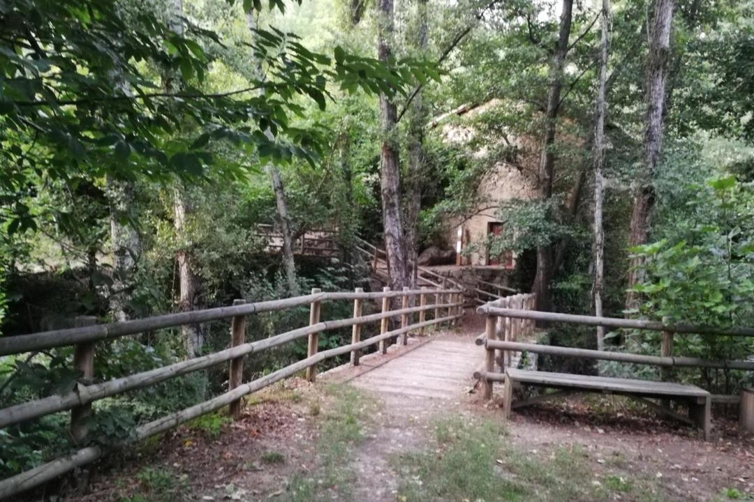 Photo of Others in Banos de Montemayor