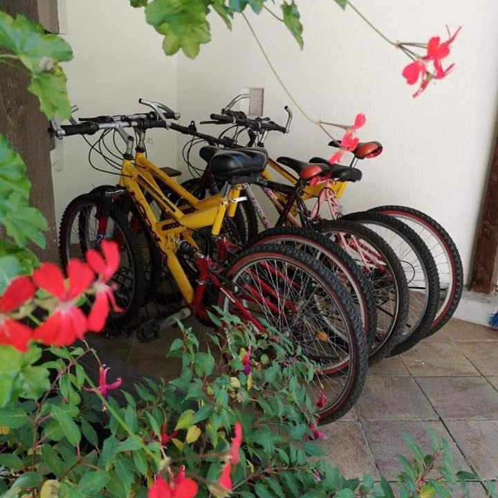 Photo of Others in Bribir