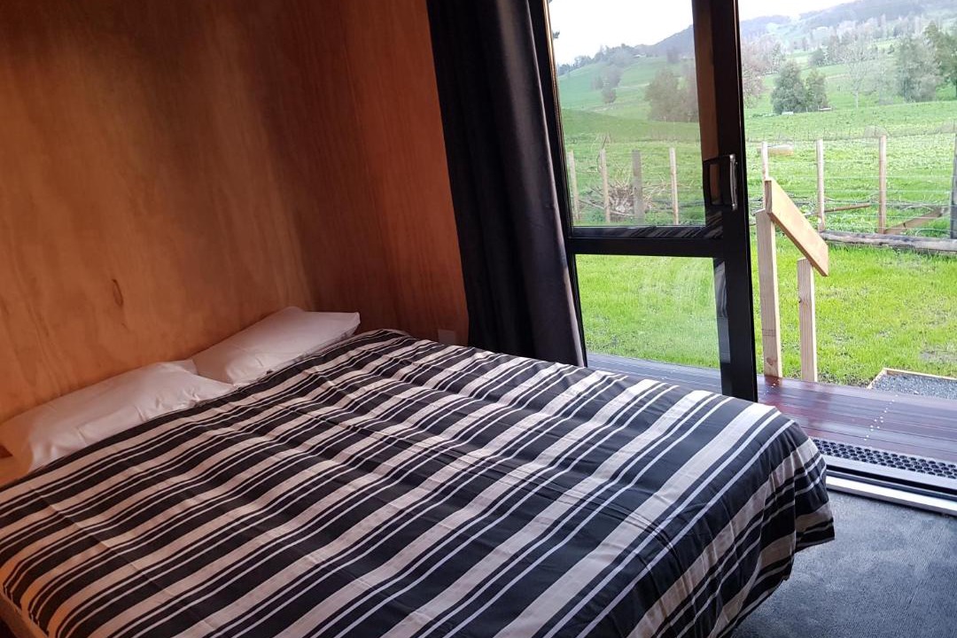 Photo of Others in Waitomo Caves