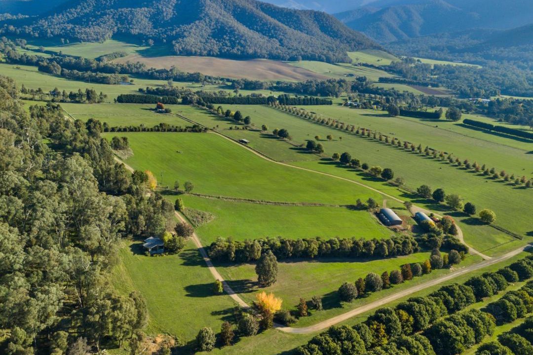 Photo of Others in Buckland