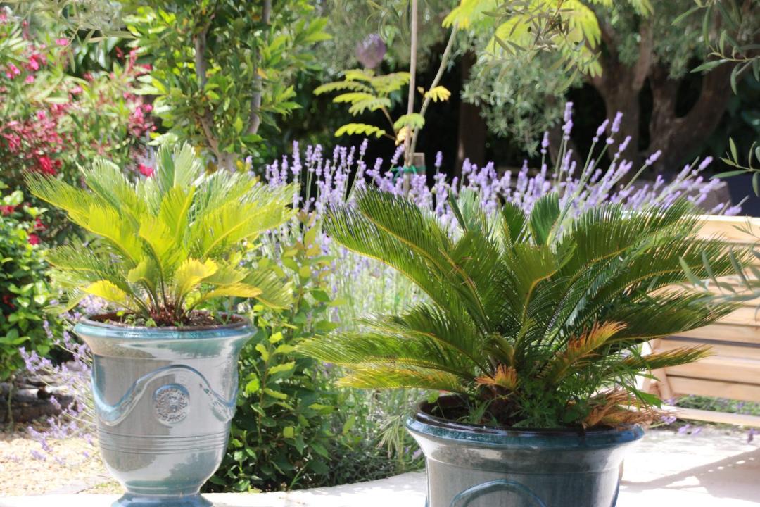 Photo of Others in Le Pouget