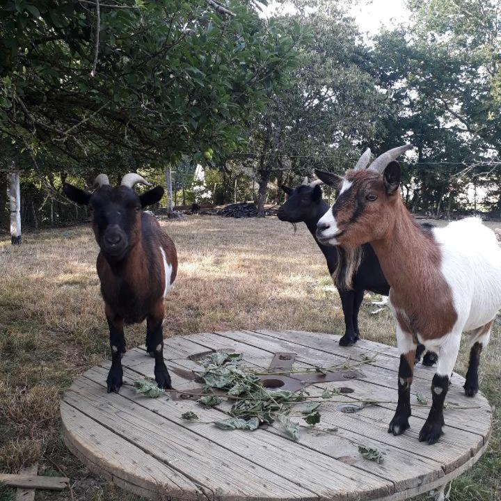 Photo of Others in Saint-Ouen-de-Mimbre